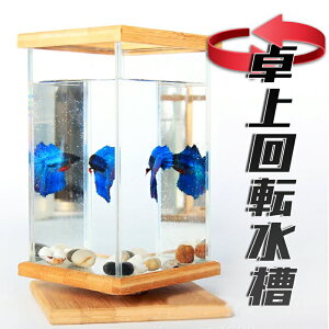水槽 おしゃれの人気商品 通販 価格比較 価格 Com