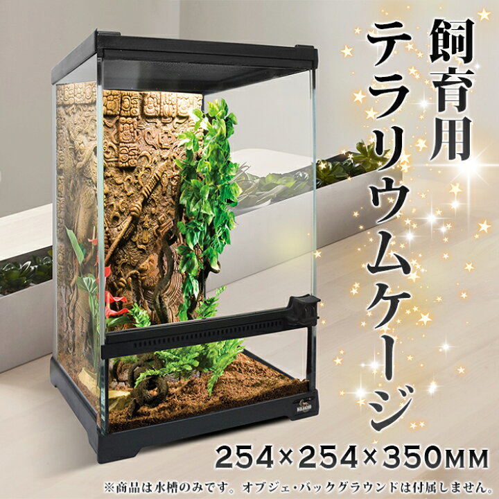 楽天市場 送料無料 飼育用テラリウムケージ 254 350mm 両生類ケージ 爬虫類ケージ トカゲ カナヘビ ガラスケージ 水槽 アクアテラリウム 飼育ボックス 商品はケージのみで オブジェ バックグラウンドは付属しておりません タカラbox 楽天市場店