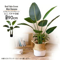 楽天市場】インダストリアル（花・観葉植物｜花・ガーデン・DIY）の通販