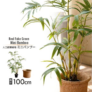 yz AtFCNO[ ~jou[ Vv k K[fjO C_XgA lHCeA  lC  L R G zj 蕨 Vzj