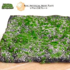 yz JUHAN Alۃv[g lŃv[g  XNGA x_ O[ 