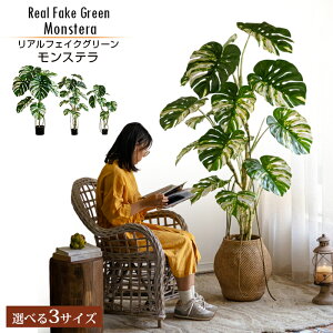 yz AtFCNO[ Xe Vv k K[fjO C_XgA ϗtA p[ ^ 傫 X^h C~e[VO[ ^A 蕨 AWA