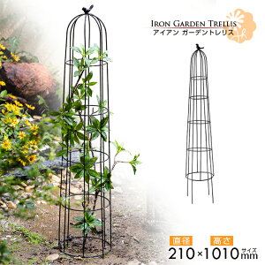 yz JUHAN K[fgX a21cm×101cm X[IxXN 10 A ACAgX  v^[ o KN ACAtFX ~ [YIxXN ƒ