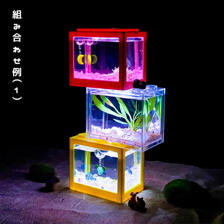 楽天市場 新 送料無料 Ledライト付きブロック水槽セット アクアリウム自由研究 夏休み Led照明 金魚鉢 卓上 Aquarium すいそう おしゃれ かわいい オブジェ ガラス 円柱 丸形 金魚 メダカ 熱帯魚 タカラbox 楽天市場店