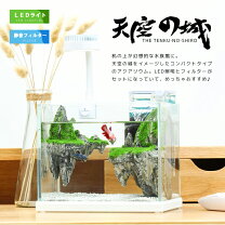 楽天市場】ジブリ 水槽（熱帯魚・アクアリウム｜ペット・ペットグッズ 