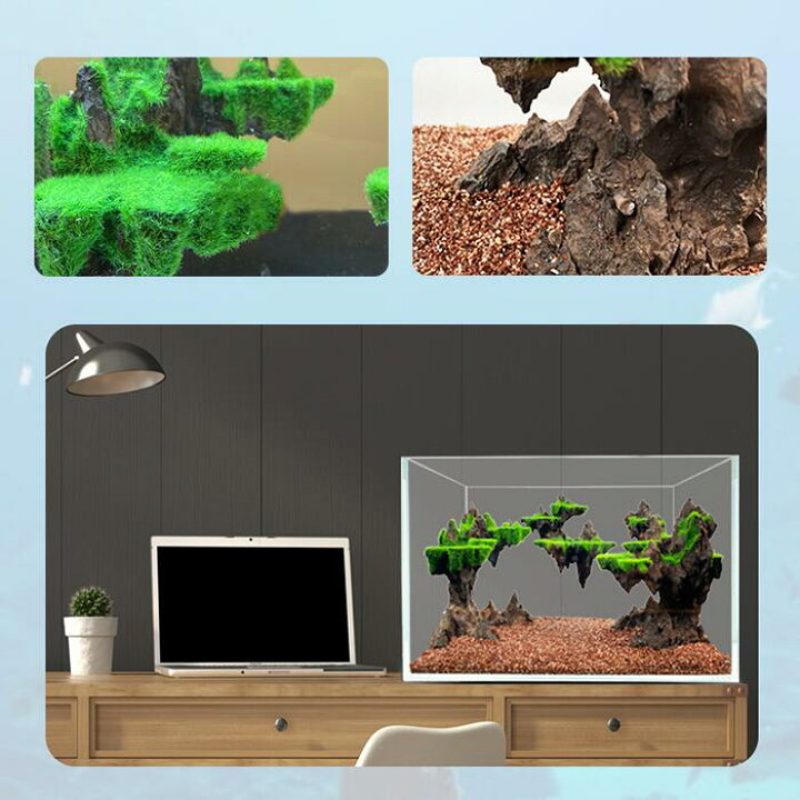 楽天市場 送料無料 天空の城3 横長タイプ Ledライト付き水槽セット アクアリウム フィルターポンプ付きオーナメント 自由研究 夏休み Led照明 金魚鉢 卓上 Aquarium すいそう おしゃれ かわいい オブジェ ガラス 金魚 メダカ 熱帯魚 大きめ 準大型サイズ タカラ