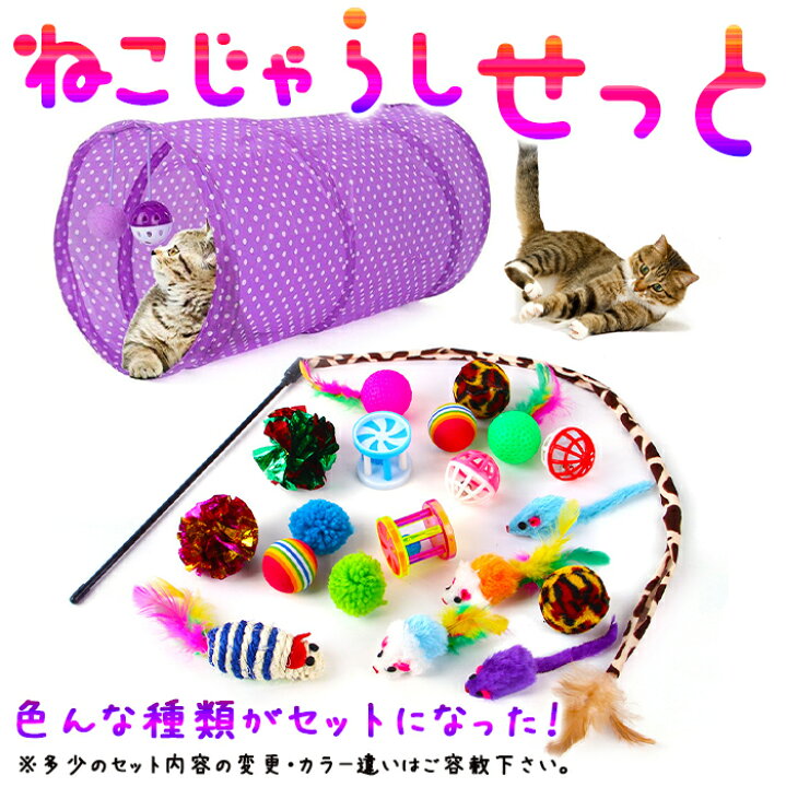 楽天市場】【送料無料】ねこじゃらしセット 猫じゃらし 子猫 こ猫 ネコ 