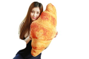 ʂ݁@AHp@52Z`I@CeAG݁@NbV@@v[gp@fBXv[p 60Z`