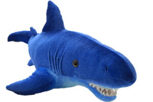 V[N shark ʂ݃NbV   T   ʂݎq v[gj ʂݏ j̎q av[g ʂݓ ӂӂʂ ʂ