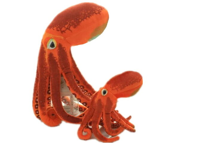 楽天市場 リアルなタコ抱き枕 たこぬいぐるみ 蛸海洋生物 柔らかい鮹 章魚 鱆 60cm トイらんど