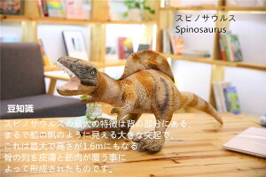 ʂ  LEE v[g eBmTEXbNX XeSTEX@XsmTEX@gPgvX@ZCXTEX