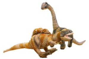 ʂ  LEE v[g eBmTEXbNX XeSTEX@XsmTEX@gPgvX@ZCXTEX