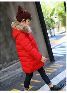 _EWPbg _ER[g q ̎q j̎q O N[t@[t t[h@ʊw LbY h H~ WjA AE^[ ~ ʉ AEghA LbYWPbg 6F 100cm 110cm 120