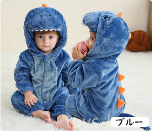 [2024Nx C  bC N ]xr[  x  C  Jo[I[ LbY Ԃ xr[ p[X q ~ h   NX}X oYj n