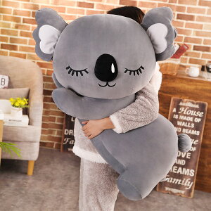 ʂ RA  koala NX}X a v[g LO/蕨/Be A{Jh  傫  ʂ 90cm@2F