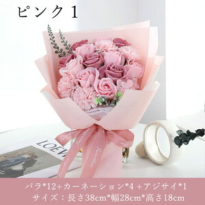 \[vt[ ԑ \[vt[Mtg u[P AWg  v[g ̓ Ӊ a  Mtg   o j ސE \ j ސEj Ǝ Əj 