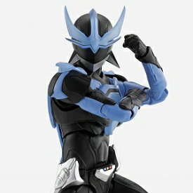 S.H.Figuarts (真骨彫製法) ウイングマン PB