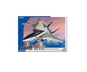 O[gEH[zr[ 1/48 AJCR F-14B ͏퓬@ L4828 [≮]