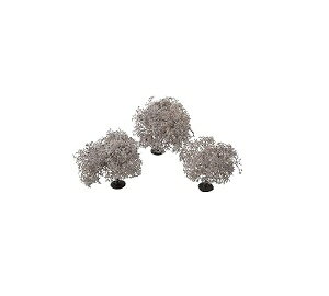 Ebhh E V[jbNX x KATO {̂ 50mm 3{ 24-367 [≮]