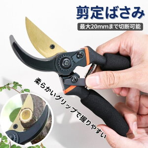 ����΂��� ���|�p�i ����o�T�~ �K�[�f�j���O �}�؂�o�T�~ �A�؂΂��� ����n�T�~ ����͂��� ������ ���� �~�� ������ �G�� �K�[�f���p�i �K�тɂ��� �� �ؒf ���� ��|�� ���S��