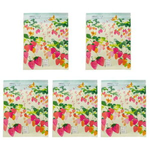 `[[ zoX[ ył܂āz5܃Zbg bNX ObY   C   oX\g oX\g&n[u oXobO