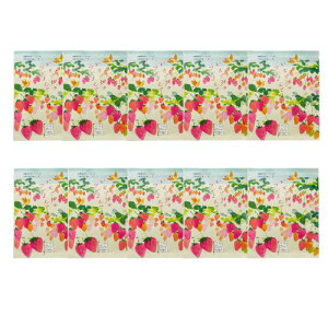 y܂Ƃߔz`[[ zoX[ ył܂āz20܃Zbg bNX ObY   C   oX\g oX\g&n[u oXobO