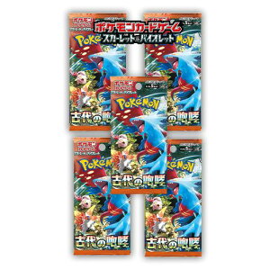 5pbNZbg ViJ Ñ̙K BOX |PJ[hQ[ XJ[bgoCIbg gpbN |PJ o 1pbN5