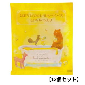 `[[ \GoX\gyڂ肽Ẵl[hEoX݂͂z12܃Zbg bNX ObY   C   oX\g oX\g&n[u o