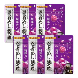 6袋セット UHA味覚糖 忍者めし 鉄の鎧 グレープ味 40g ハード食感 グミ ぐみ