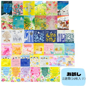 y2T(14)z`[[    _A\[g e zoX[ O[X[s[ E ݂͂\G A_ @\pE_[oX lߍ킹 oX\g 