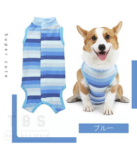 [  p㕞 Hc R[M[ ^pp CkLbg lr p㕞p㒅pEFA 畆ی  p D    pEFA ybg앞 GUxXJ