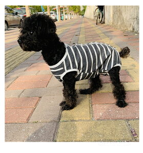 Lp p㕞 ybgEFA CklRLbg p㒅 pEFA r߂Ȃ 畆ی ی D  pi p  rߖh~ ނ jp p GUxXJ[̑p 胍