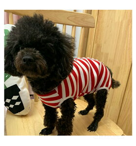 Lp p㕞 lr H~ œK^Cv p㒅pEFA r߂Ȃ 畆 D  畆ی r ی ނ jp  CklRLbg g₷ w{^J p[