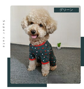 p Lp  lr p㕞 p㒅 pEFA r߂Ȃ ی 畆ی r D  ނ pi p  p̏ی CklRLbg 畆 jp  _炩f