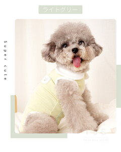 yyV1ʁzIV  p㕞 ̎q j̎q D  p㕞 IX X rߖh~ pEGA Lk 畆ی ^ pEFA ybg GUxXJ[ lR|X