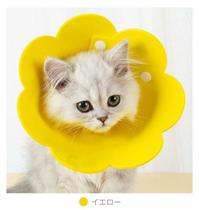 エリザベスカラー 猫 ネコ 軽量 ソフト LaLUCA ストレス軽減 黄 M 猫用品