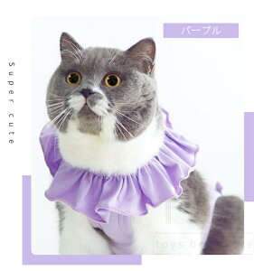 Lpp㕞 L  p D    lRLbgpEFA/r߂Ȃ畆ی jp ӂ萶n Lp t ĕ H~ lr pW} p[X p㒅 pE