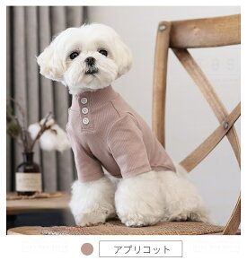 H~ ^ hbOEGA EFA ̕ ybgEFA X[c \tg OTVc TVc X^_[hVc ybg m lR|XI[ra19411]