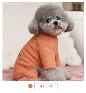 _200~OFFN[|L^  hbOEFA p[X g[i[ H~ g ^ ybg hbO  ~ H ~ 4r   pW} Ȃ^Cv m Jo[I[ I[o[I