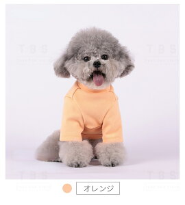   ^H~m X[c \tg OTVc TVc X^_[hVc ^Ngbv ybg hbOEGA ̕ ybgEFA lR|XI[ra21211]