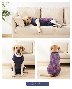 p p㕞 ^p  ybg CkLbg Ȃ p pp㕞 p㕞 p㒅 pEFA 앞  rߖh~ ی 畆ی  p D    