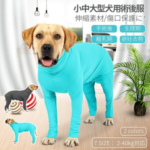 ybg ^ ^ lr p㕞p㒅pEFA/r߂Ȃ D  ނ jp p㕞 pEFA 畆ی r D hbOEFA lR|XI[ra28711]