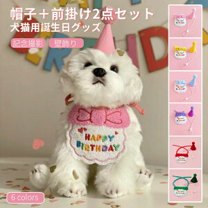 ybg̒a p Lp aObY p[eBObY XqƑO|2_Zbg aXq p[eB[pi LOBe 悾ꂩ O| HAPPY BIRTHDAY lR|XIyra94726z