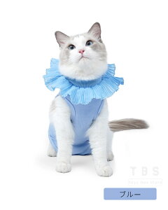 Lpp㕞 L  L p㕞 lRLbg L pEFA D    r߂Ȃ畆ی jp ӂ萶n Lp t ĕ H~ lr pW} p[X p㒅