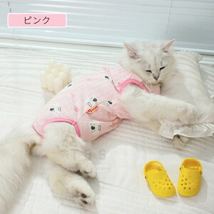 Lpp㕞 ӂ萶n lRLbgp㒅pEFA Eѕی r߂Ȃ畆 D  ނ jp p lGp _炩f pi p یlR|XI[ra44610]