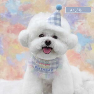 Lp XqƑO|2_Zbg ybg̒a aObY p[eBObY o[Xf[X^CXqZbg HAPPY BIRTHDAY nbs[o[  ^ aXq  p[eB[p