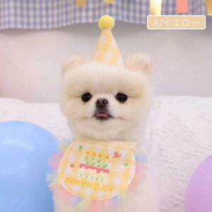 Lp XqƑO|2_Zbg ybg̒a aObY p[eBObY o[Xf[X^CXqZbg HAPPY BIRTHDAY nbs[o[  ^ aXq  p[eB[p