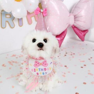 Lp XqƑO|2_Zbg ybg̒a aObY p[eBObY o[Xf[X^CXqZbg HAPPY BIRTHDAY nbs[o[  ^ aXq  p[eB[p