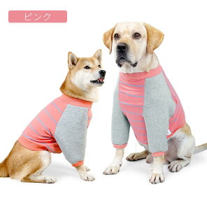 I֐ߕی앞 ^ ^ I֐ߕی앞 ֐ߕی ֐߂̉ Oی앞 앞  ⏕ OT|[^[ I֐߂镞 ֐ߖՌ Jo[ rߖh~ ֐߃veN^