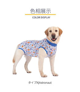 t /^ppEFA Ckp㕞 p㒅 O㑫 ̏ی rߖh~ GUxXJ[ɑ D   p 畆ی jp ё΍ lR|XI[ra97710-2]